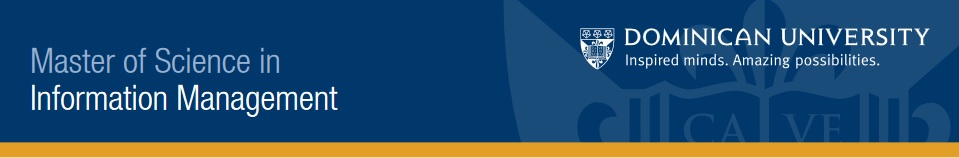 LIS 753 - Internet Fundamentals and Design